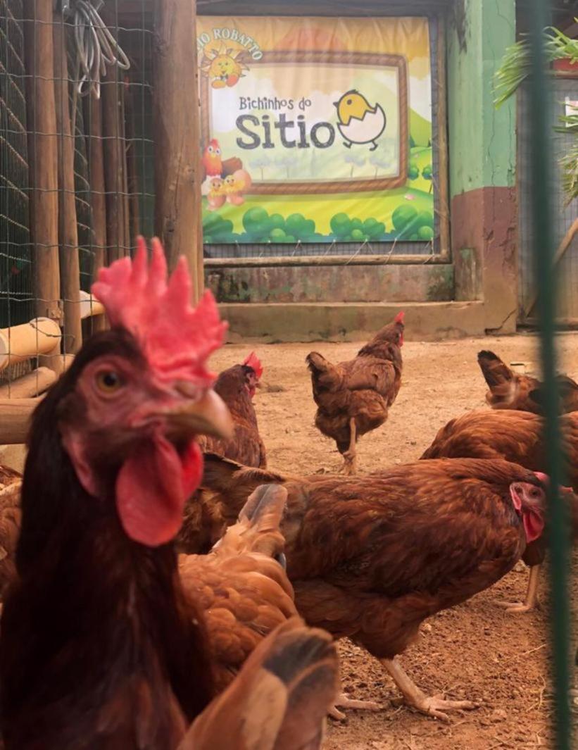 Sitio Robatto Ecopousada Camaçari Eksteriør bilde
